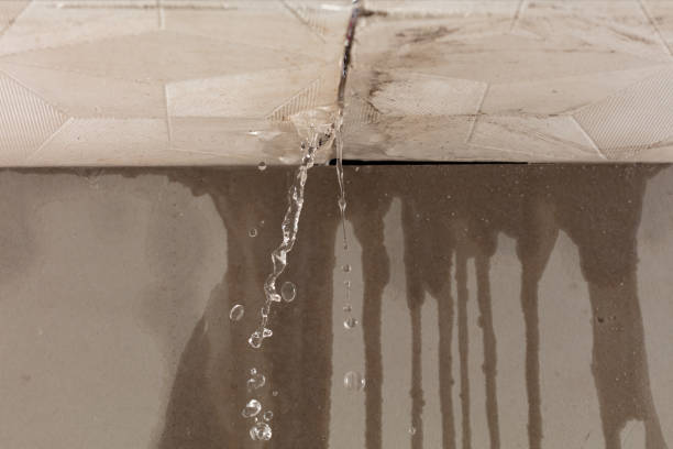 Professional Water Damage Repair technician working in Rindge, NH